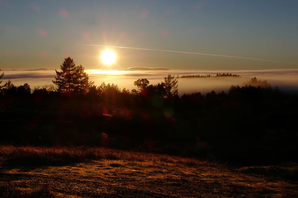 WINTER IN SONOMA