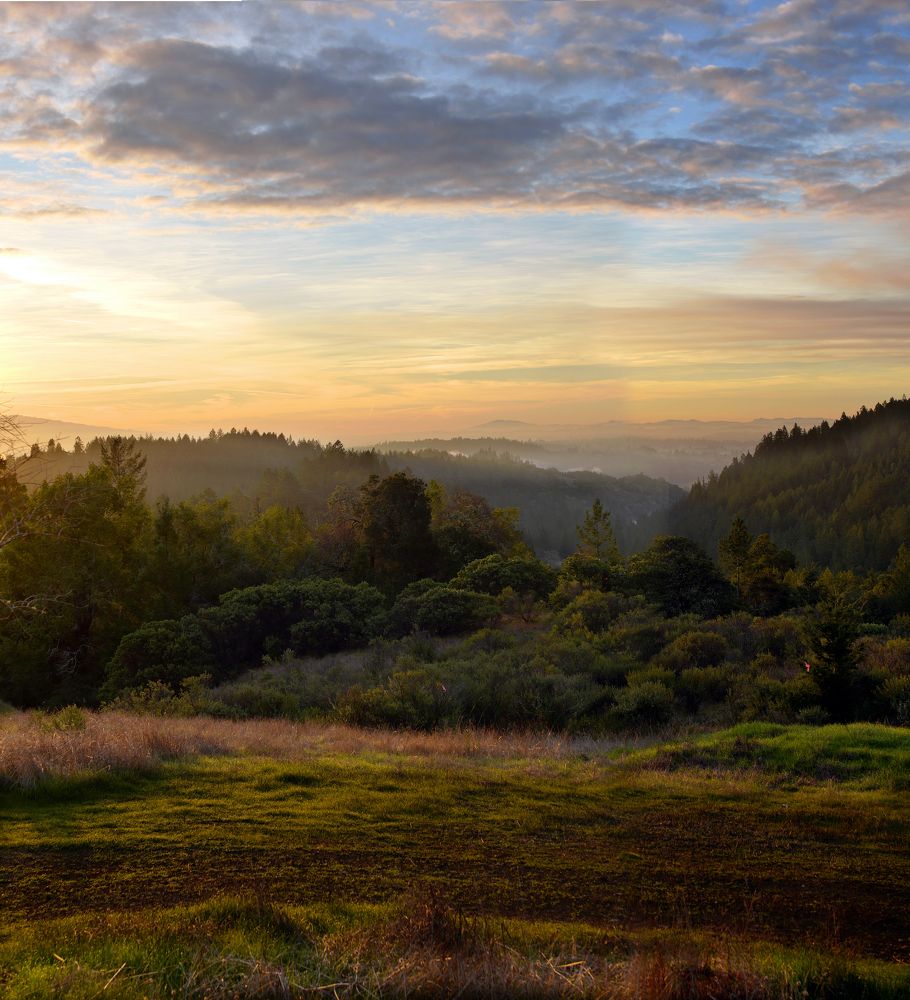 WINTER IN SONOMA