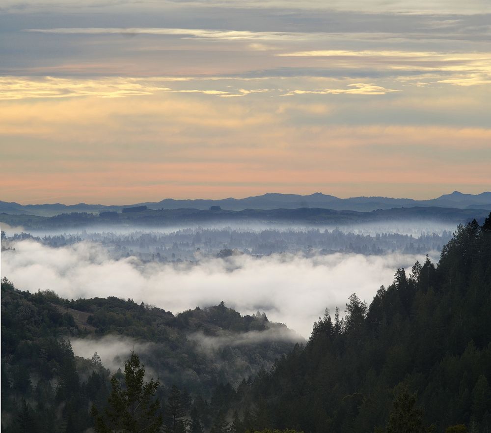 WINTER IN SONOMA