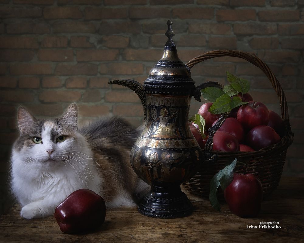 Кошка с яблоками