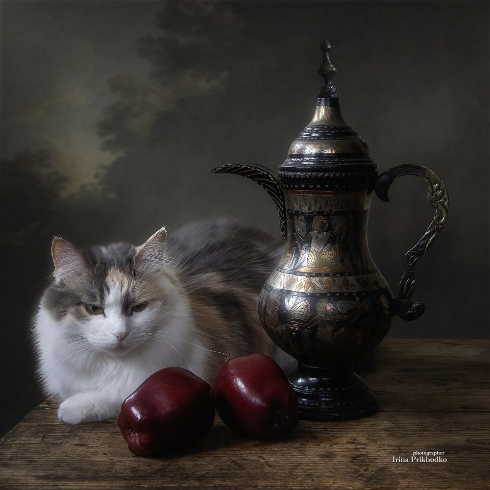 Кошка с яблоками