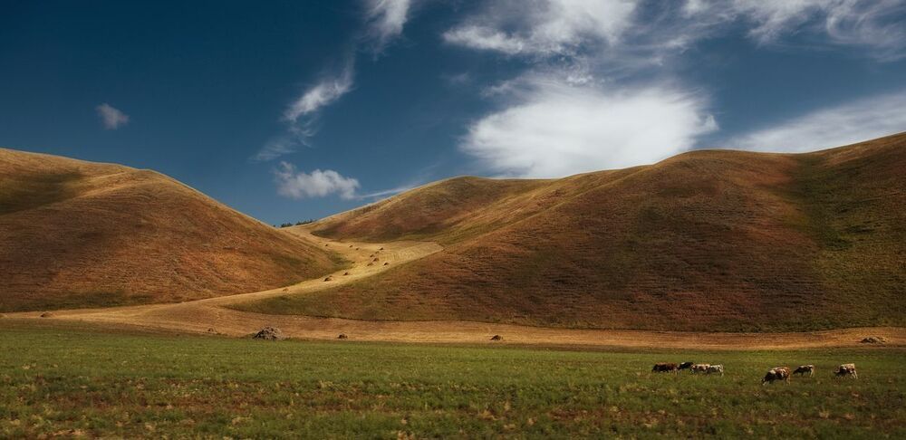 лецезренческая с холмами
