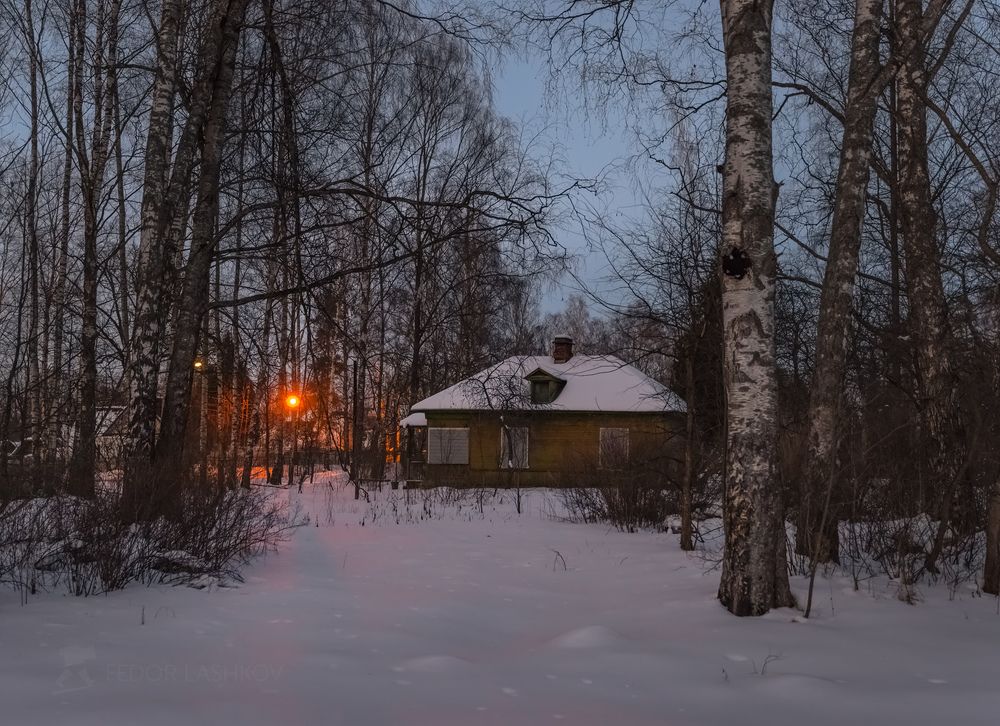 Парк Павловск в морозный закат