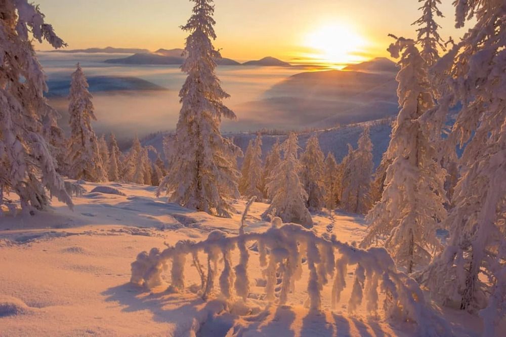 Природа Якутии