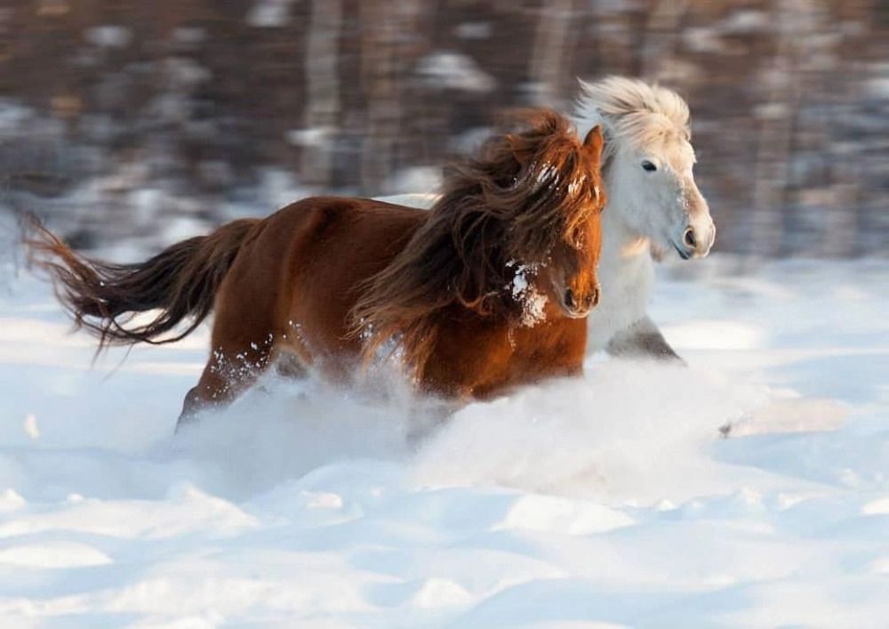 Природа Якутии