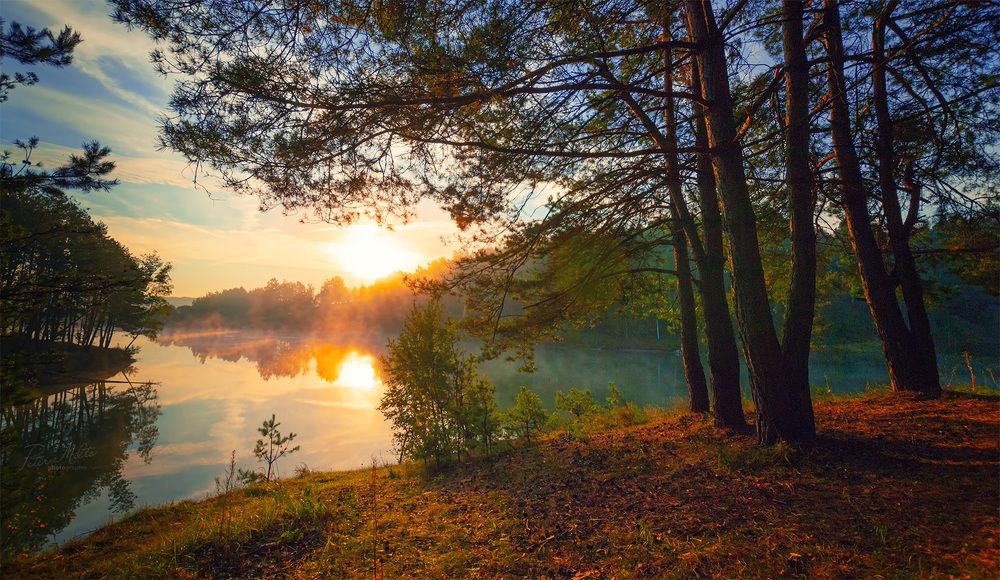 В час утренней зари