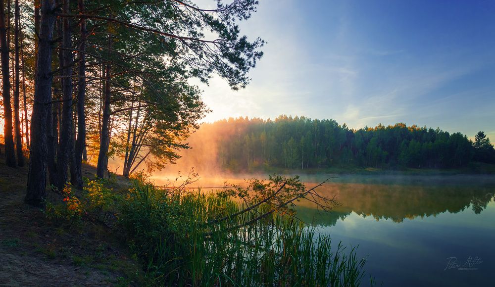 В час утренней зари