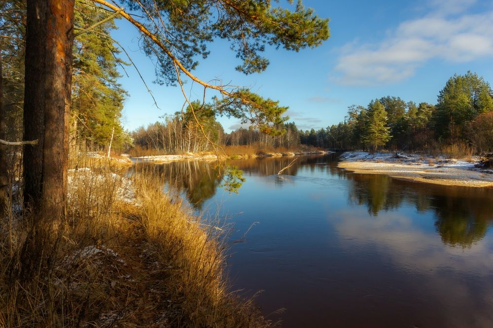 Осенняя прогулка