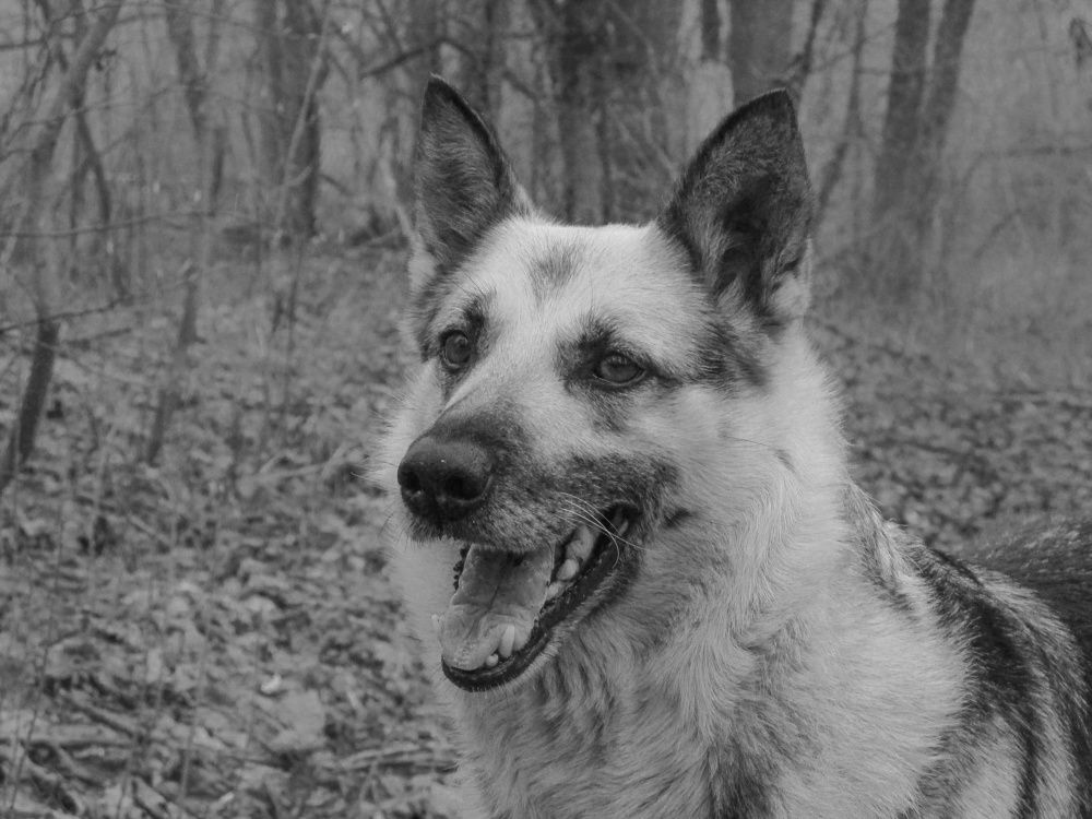 Photo 2762933
