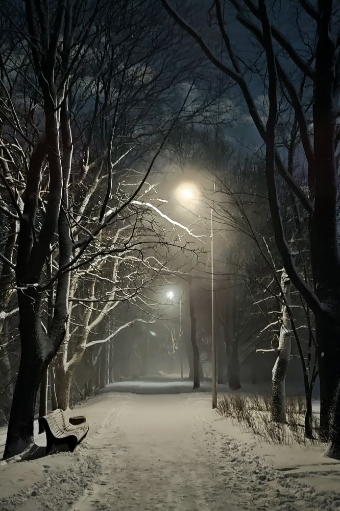 Вечерняя прогулка, телефонное