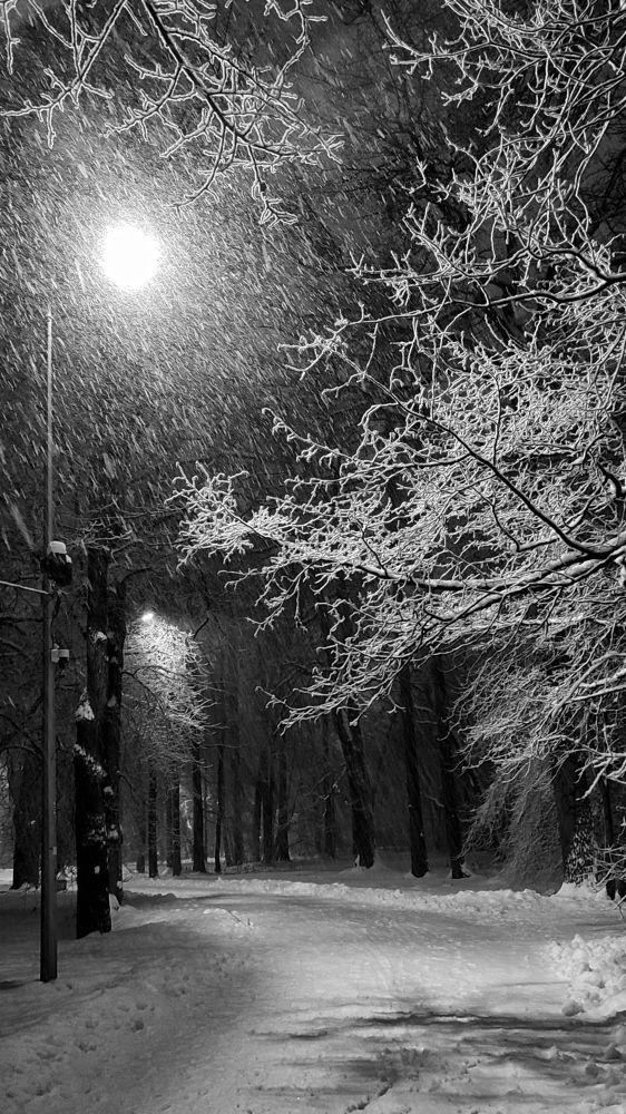 Вечерняя прогулка, телефонное
