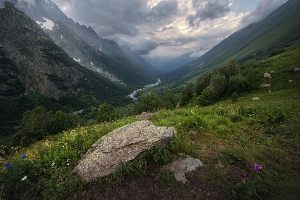 Свежесть горных лугов
