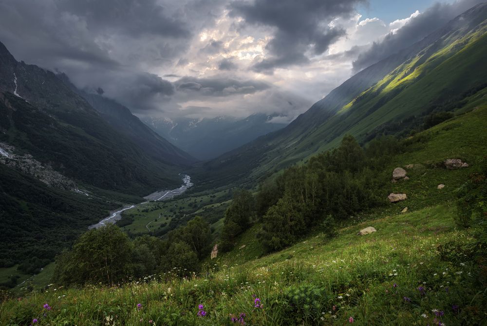Свежесть горных лугов