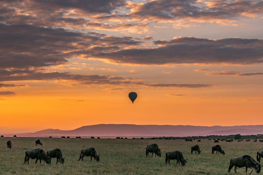 Kenya Sunrise Sunset Sundowner Wildebeest Greatest Migration Hot Air Balloon Maasai Mara National Game Reserve Park Narok County Savannah grasslands Great Rift Valley Wilderness wild wildlife Kenya East Africa Landscapes Panoramic Scenic Views Explore field meadows dramatic clouds