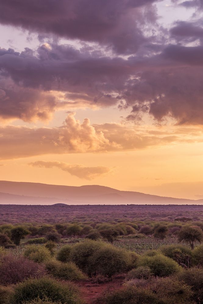 Mount Kilimanjaro is a dormant volcano in Tanzania. It is the highest mountain in Africa and the highest free-standing mountain above sea level in the world, at 5,895 m above sea level and 4,900 m above its plateau base.