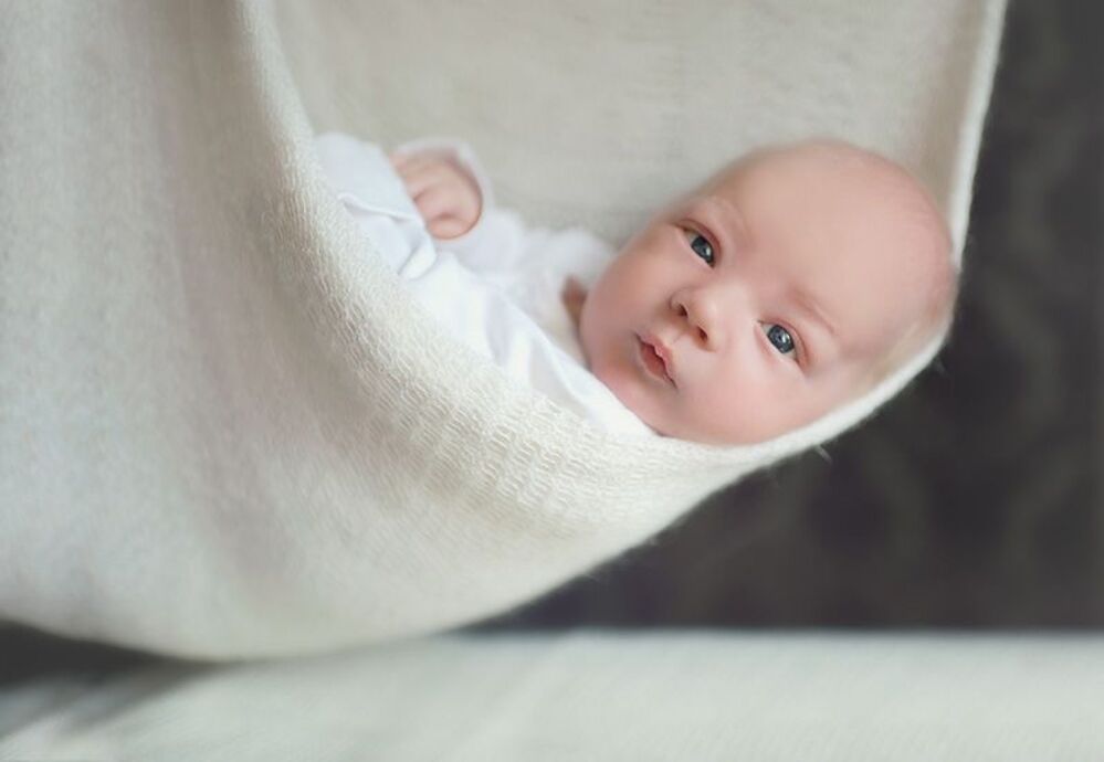 Photo 277069