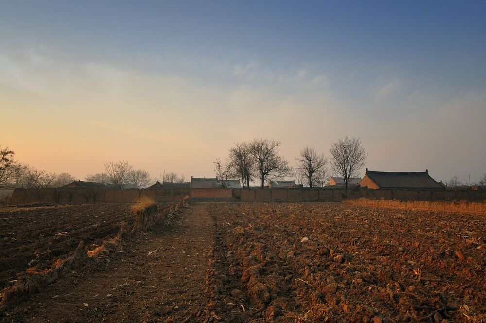 Photo 277487