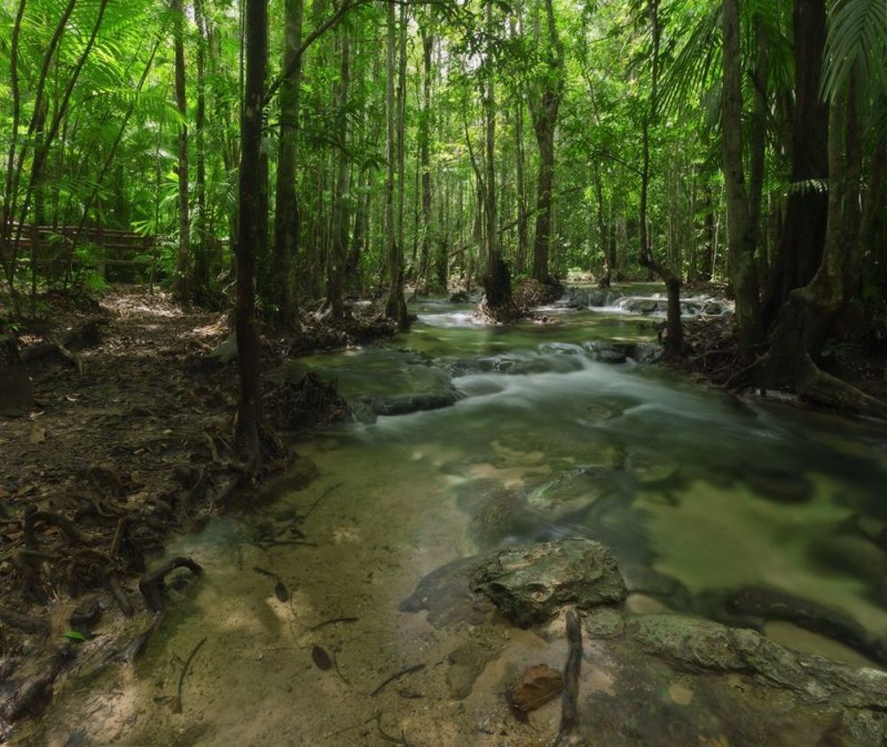 Stream