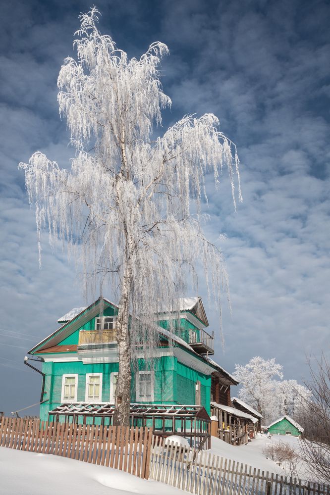 Морозный день