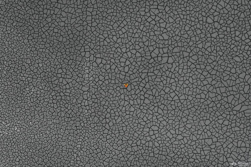 Cracked Land
