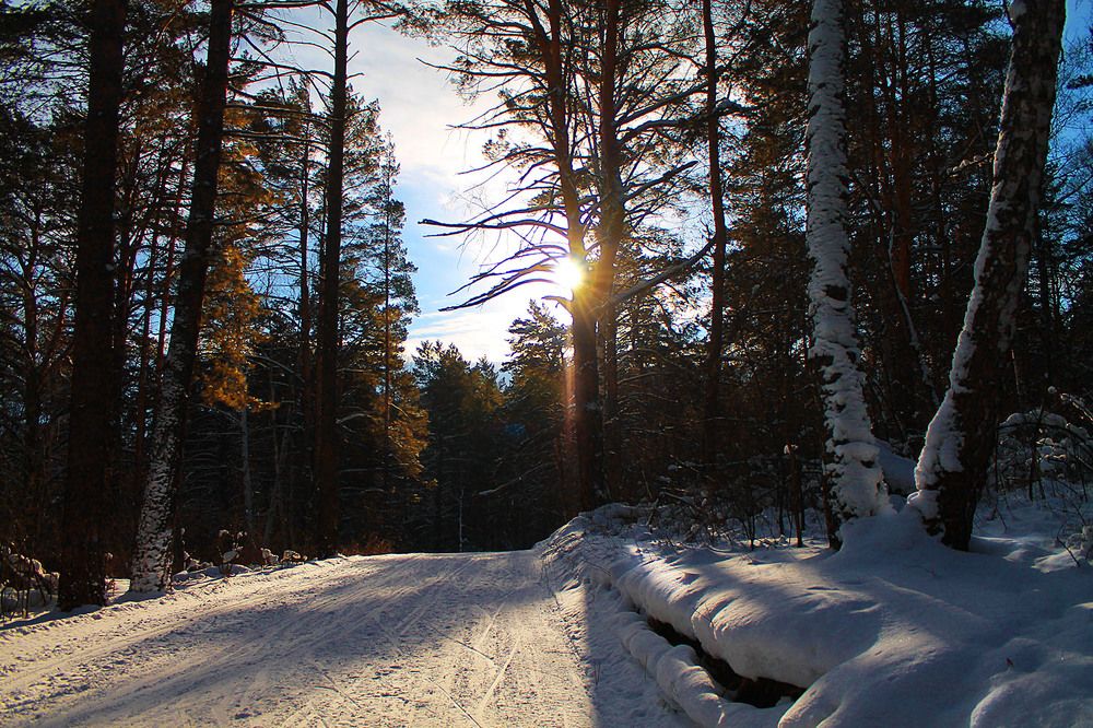 Photo 2773259