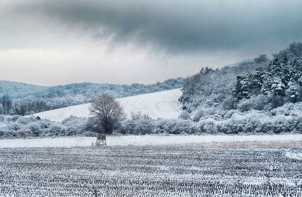 Winter is here 3