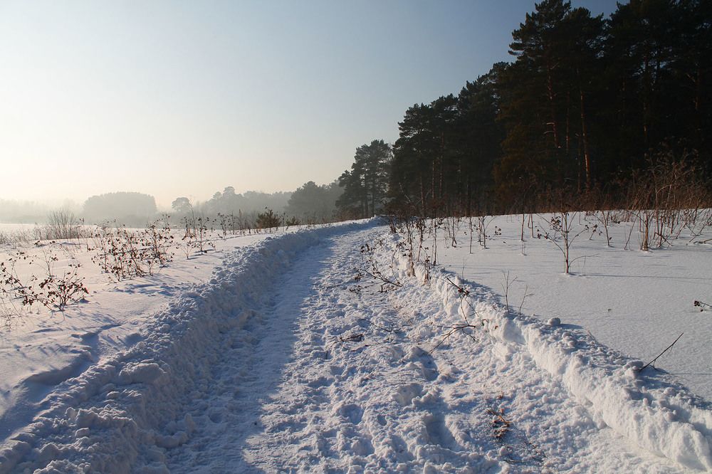 Photo 2777402
