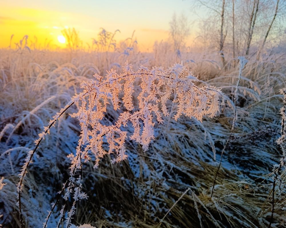 Photo 2778793