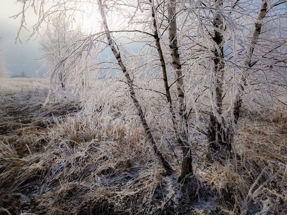 Photo 2778800