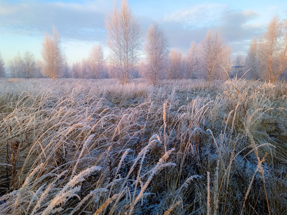 Photo 2778931