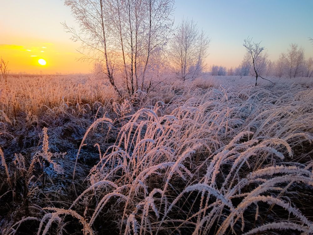 Photo 2778932