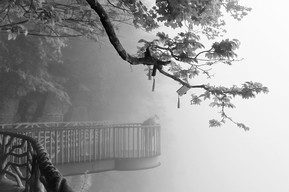 Photo 2779383