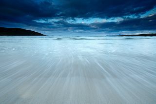 Paradise to jellyfish 3