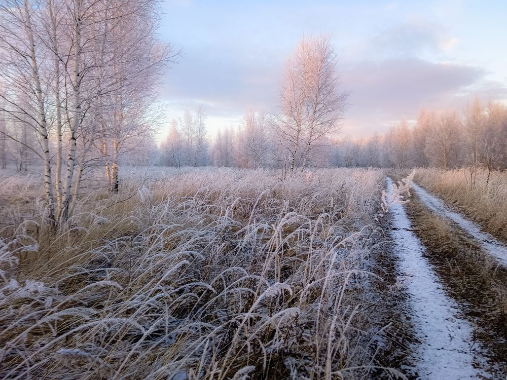 Photo 2780156