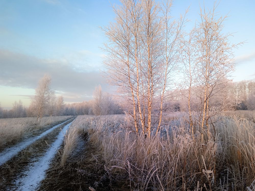 Photo 2780157