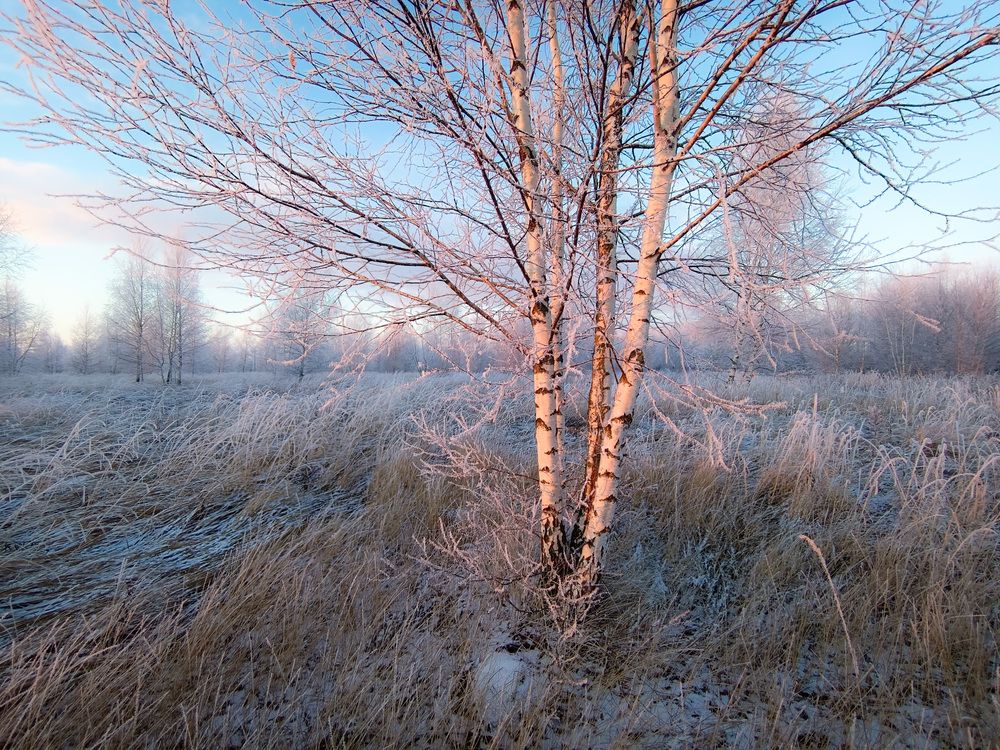 Photo 2780158