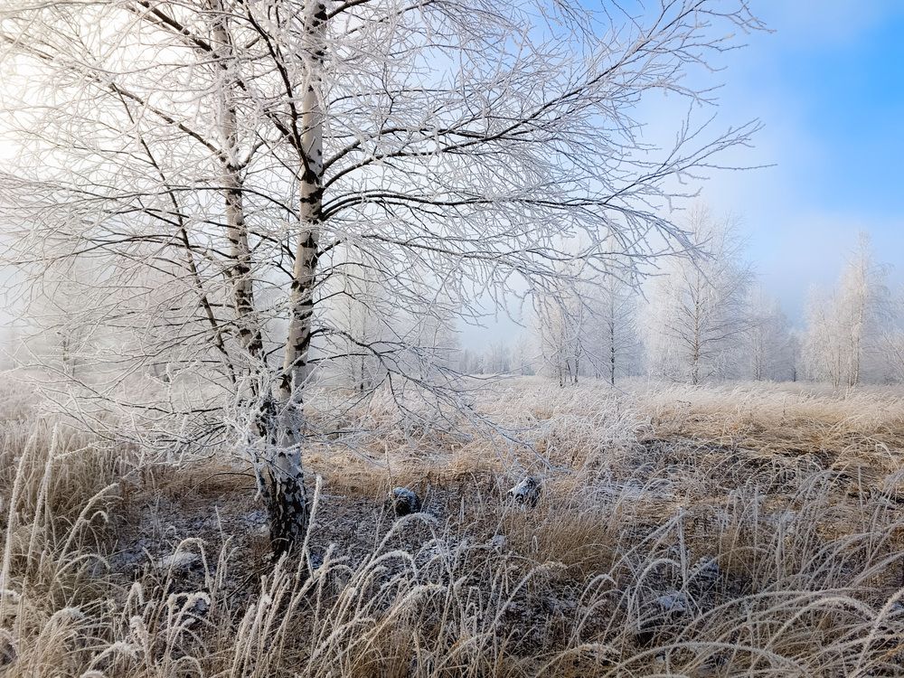Photo 2780163