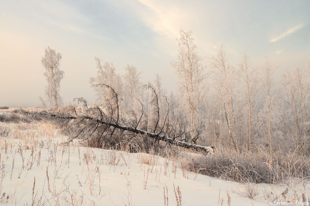 Пастельное утро