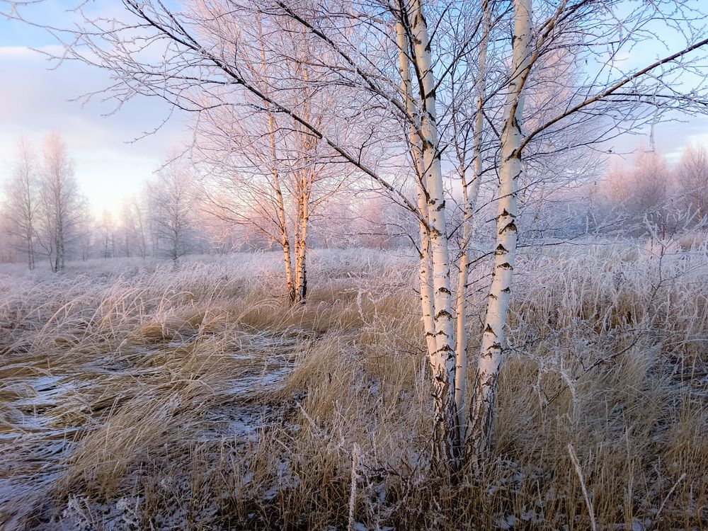 Photo 2780745