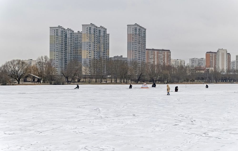На зимнем пруду