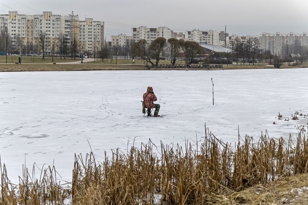 На зимнем пруду