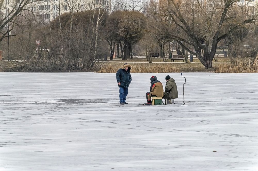На зимнем пруду