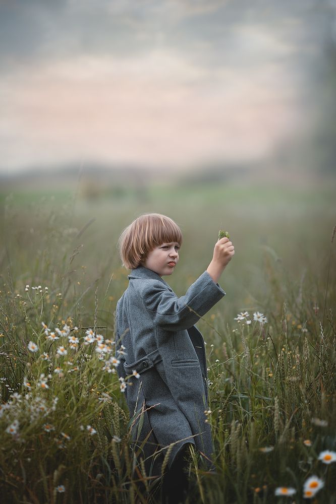 Photo 2782917