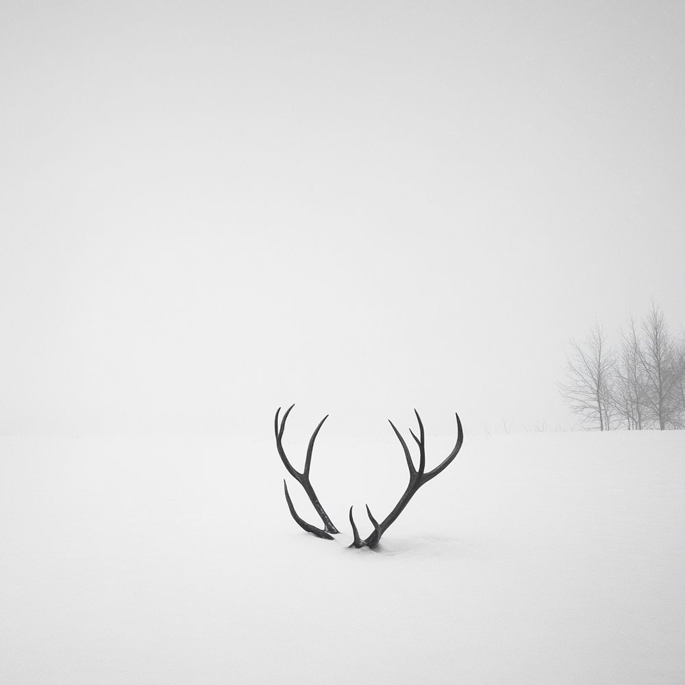 Photo 2790050