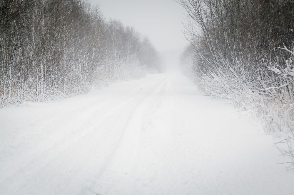 Загородная прогулка