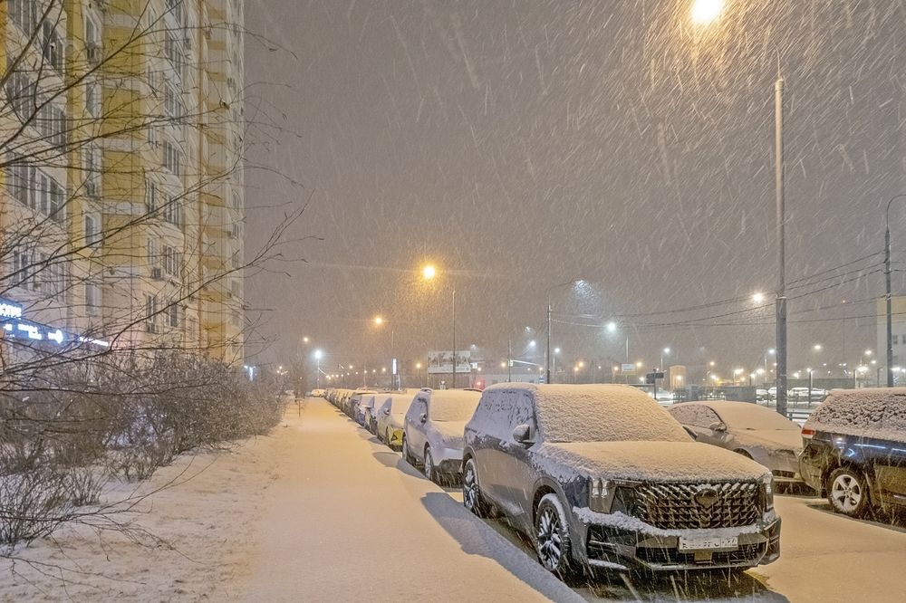 Февральский снегопад