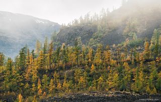 02 Первое золото на склонах …