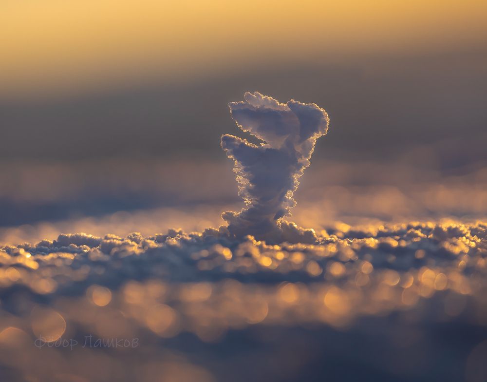 Скульптуры зимы