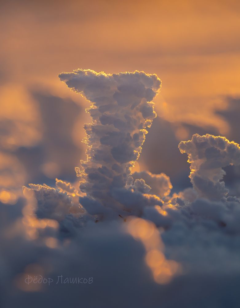 Скульптуры зимы