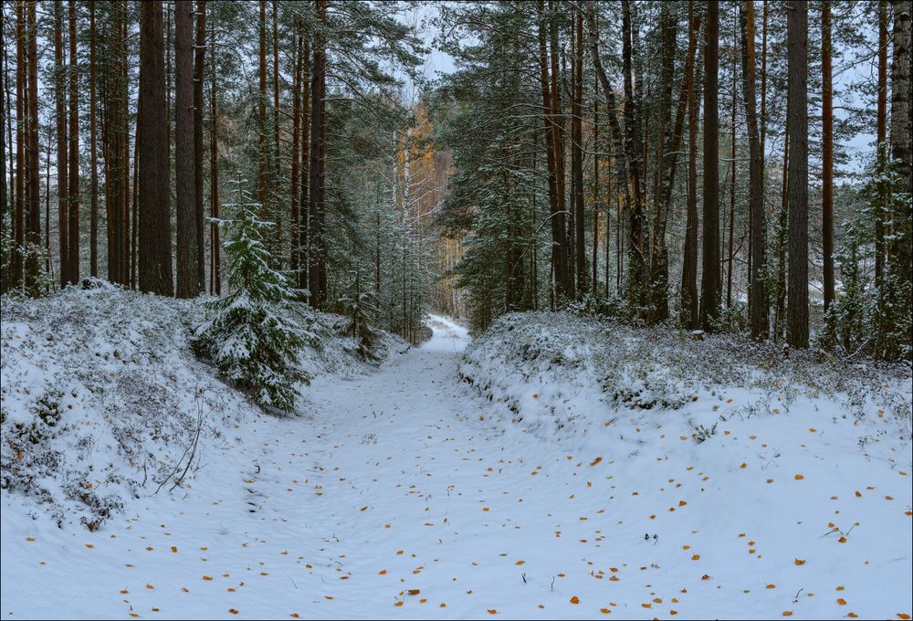 Дорога между озёрами. Вечереет.